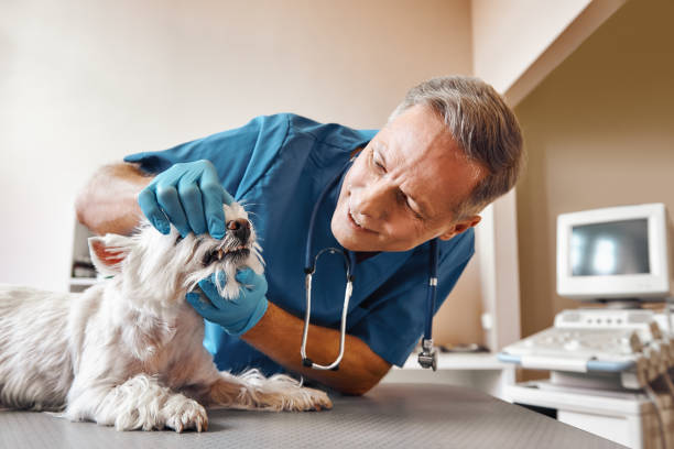  Westville, OK Emergency Dentist Pros